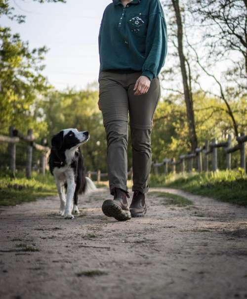 Hundeauslaufgebiet-Hundeschule Nußloch-Bild