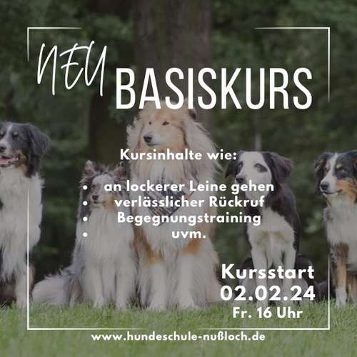 Hundeauslaufgebiet-Hundeschule Nußloch-Bild