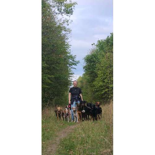 Hundeauslaufgebiet-Hundezentrum im Auwald GbR-Bild