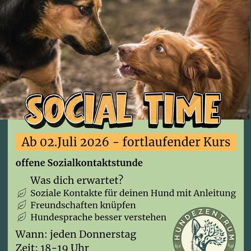 Hundeauslaufgebiet-Hundezentrum im Auwald GbR-Bild