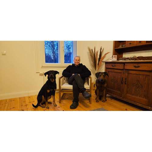 Hundeauslaufgebiet-Hundezentrum im Auwald GbR-Bild