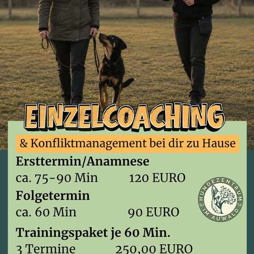 Hundeauslaufgebiet-Hundezentrum im Auwald GbR-Bild