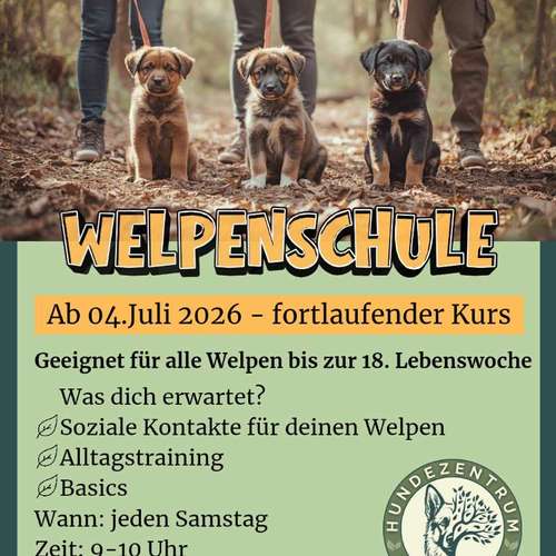 Hundeauslaufgebiet-Hundezentrum im Auwald GbR-Bild