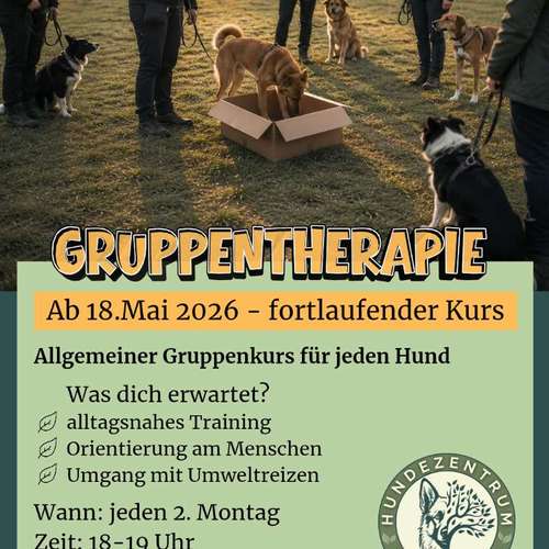 Hundeauslaufgebiet-Hundezentrum im Auwald GbR-Bild
