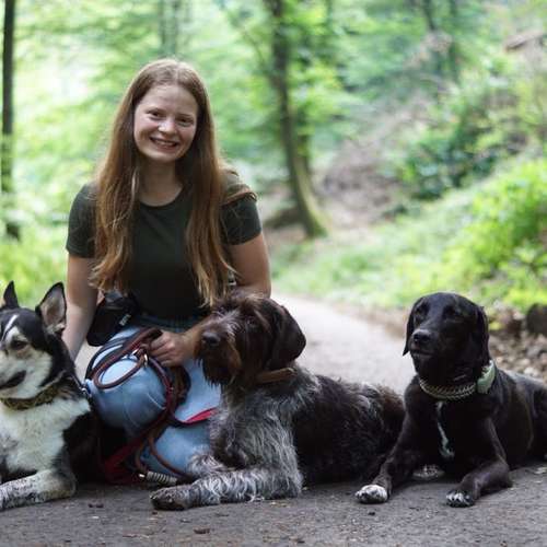 Hundeauslaufgebiet-Gassiservice Better Together Heidelberg-Bild