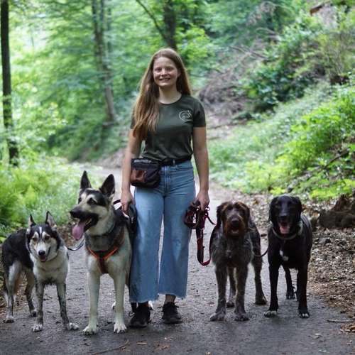 Hundeauslaufgebiet-Gassiservice Better Together Heidelberg-Bild