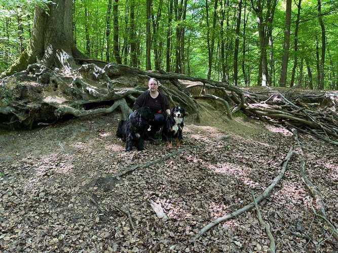 Hundeauslaufgebiet-Dia's Tierwelt-Bild