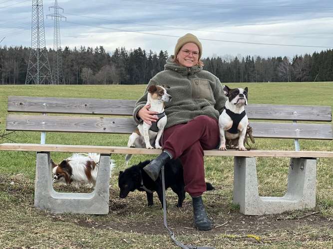 Hundeauslaufgebiet-Pfotenliebe Hundebetreuung-Bild