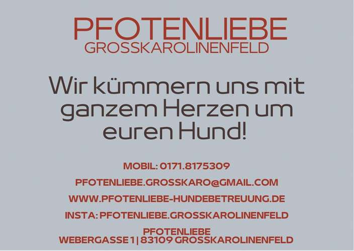 Hundeauslaufgebiet-Pfotenliebe Hundebetreuung-Bild