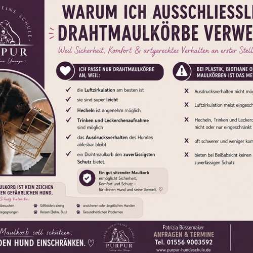 Hundeauslaufgebiet-PURPUR Dein Hund Deine Schule - Training ohne Umwege-Bild