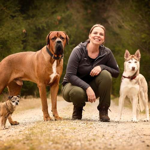 Hundeauslaufgebiet-PURPUR Dein Hund Deine Schule - Training ohne Umwege-Bild