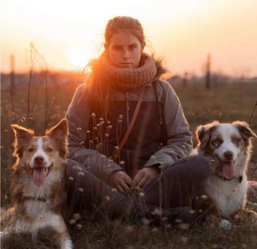 Hundeauslaufgebiet-Hundetraining Kathy Stemke-Bild