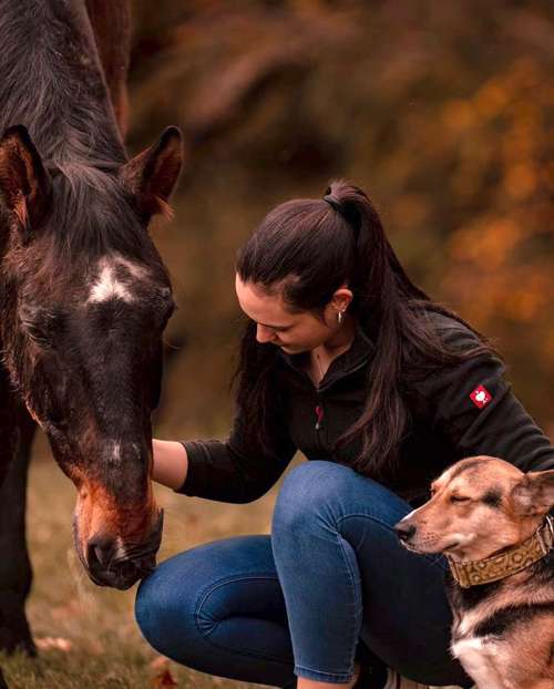 Hundeauslaufgebiet-Tierphysiotherapie und Chiropraktik-Bild