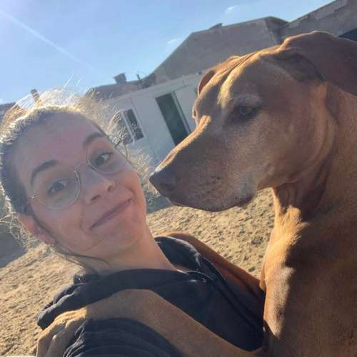 Hundeauslaufgebiet-Urban Dogs Cologne-Bild