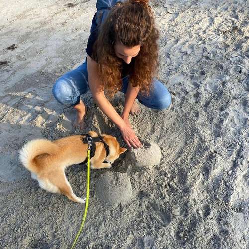 Hundeauslaufgebiet-Urban Dogs Cologne-Bild