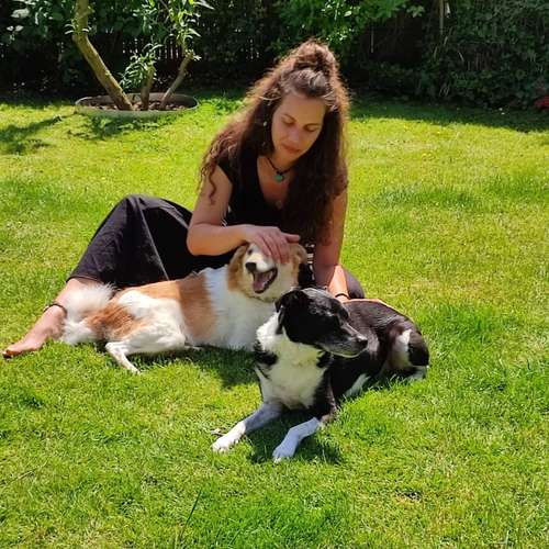 Hundeauslaufgebiet-Urban Dogs Cologne-Bild