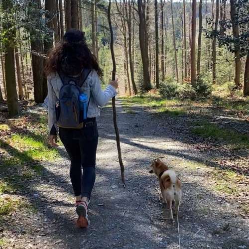 Hundeauslaufgebiet-Urban Dogs Cologne-Bild