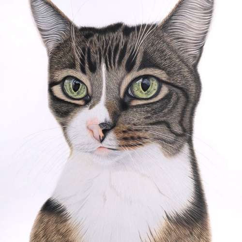 Hundeauslaufgebiet-Sarah Lueders Art-Bild