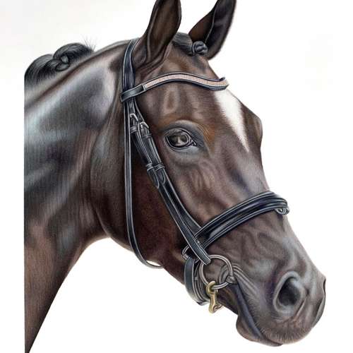 Hundeauslaufgebiet-Sarah Lueders Art-Bild