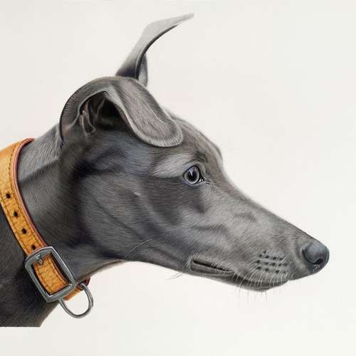 Hundeauslaufgebiet-Sarah Lueders Art-Bild