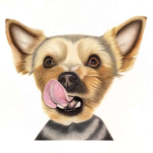 Hundeauslaufgebiet-Sarah Lueders Art-Bild