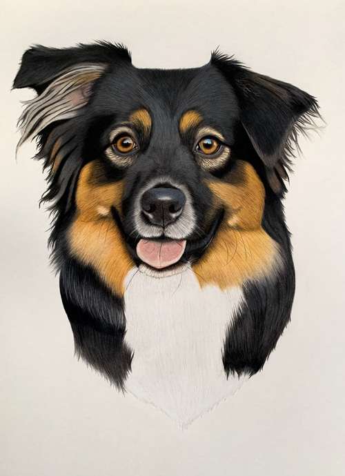 Hundeauslaufgebiet-Sarah Lueders Art-Bild