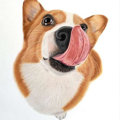 Hundeauslaufgebiet-Sarah Lueders Art-Bild