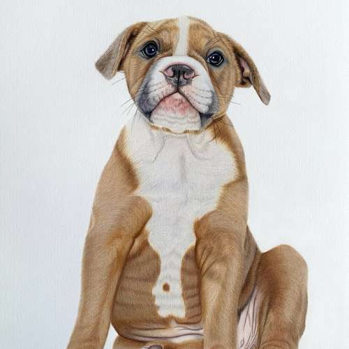 Hundeauslaufgebiet-Sarah Lueders Art-Bild