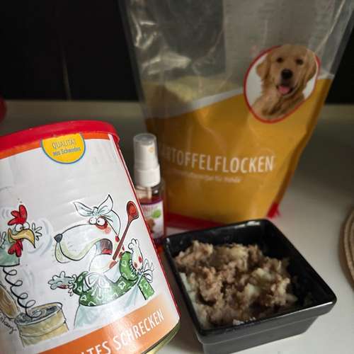 Hundeauslaufgebiet-Franzi mit Femi - Fachberaterin AniFit-Bild