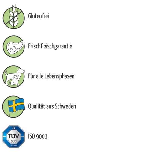 Hundeauslaufgebiet-Franzi mit Femi - Fachberaterin AniFit-Bild
