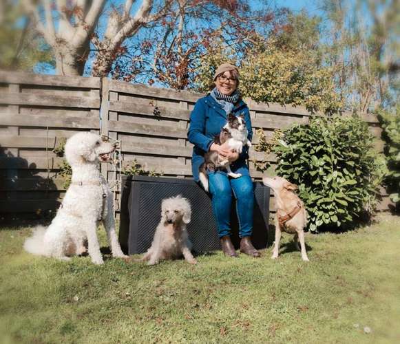 Hundeauslaufgebiet-Hundeschule Stormydogs-Bild