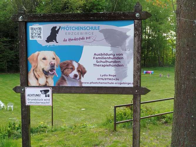 Hundeauslaufgebiet-Pfötchenschule Erzgebirge-Bild