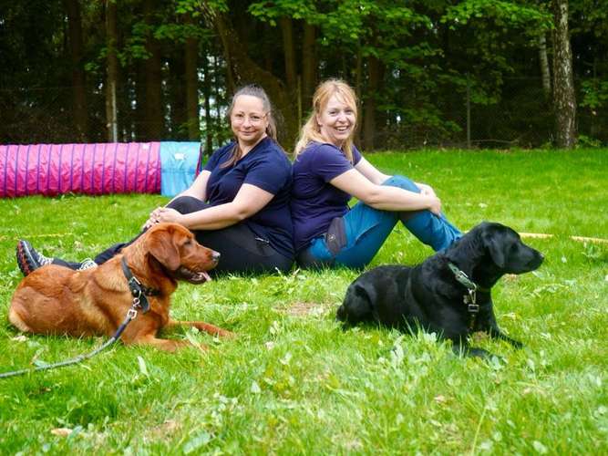 Hundeauslaufgebiet-Pfötchenschule Erzgebirge-Bild