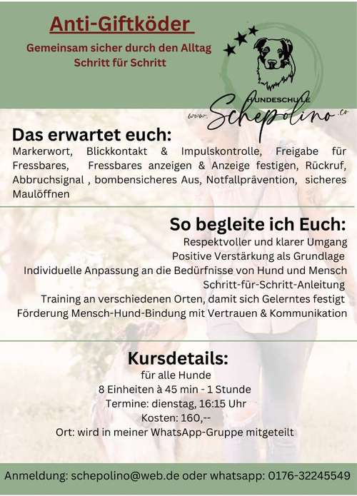 Hundeauslaufgebiet-Hundeschule Schepolino-Bild