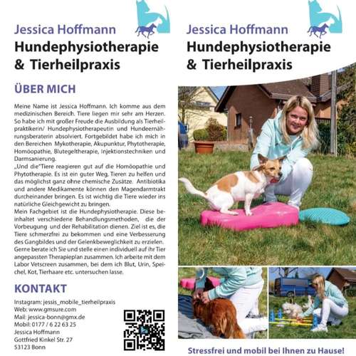 Hundeauslaufgebiet-Mobile Tierheilpraxis/Hundephysiotherapie-Bild