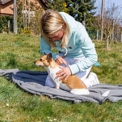 Hundeauslaufgebiet-Mobile Tierheilpraxis/Hundephysiotherapie-Bild