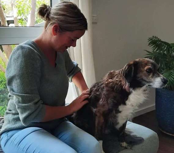 Hundeauslaufgebiet-Mobile Tierheilpraxis/Hundephysiotherapie-Bild