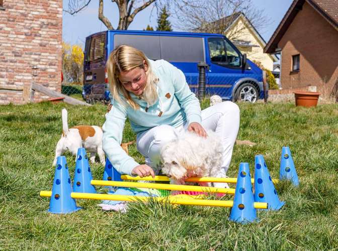 Hundeauslaufgebiet-Mobile Tierheilpraxis/Hundephysiotherapie-Bild