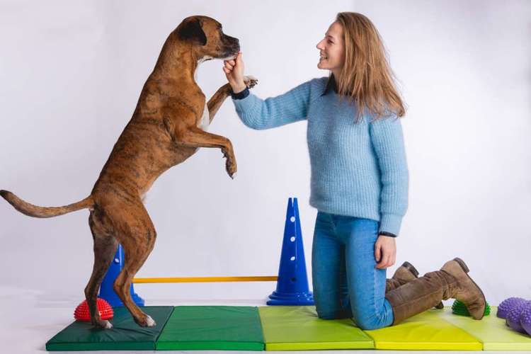 Hundeauslaufgebiet-ReguThera Hundephysio und Tierheilpraxis-Bild