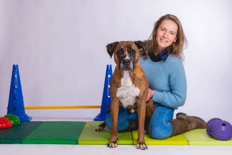 Hundeauslaufgebiet-ReguThera Hundephysio und Tierheilpraxis-Bild