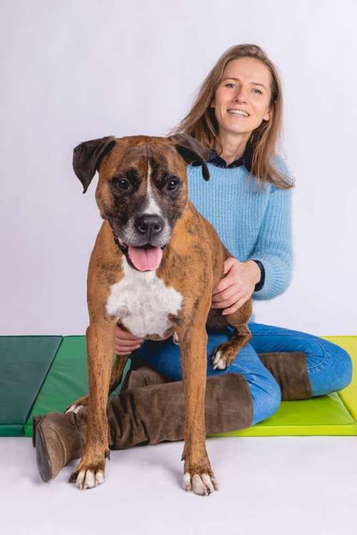 Hundeauslaufgebiet-ReguThera Hundephysio und Tierheilpraxis-Bild