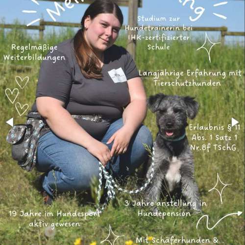 Hundeauslaufgebiet-Willemeits Mobile Hundeschule-Bild