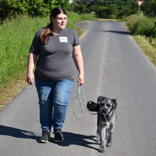 Hundeauslaufgebiet-Willemeits Mobile Hundeschule-Bild