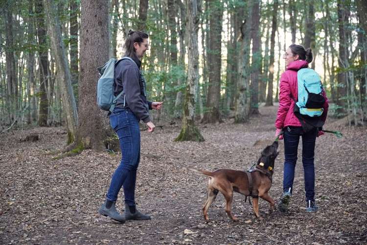 Hundeauslaufgebiet-Hunde.Haltung Training-Bild