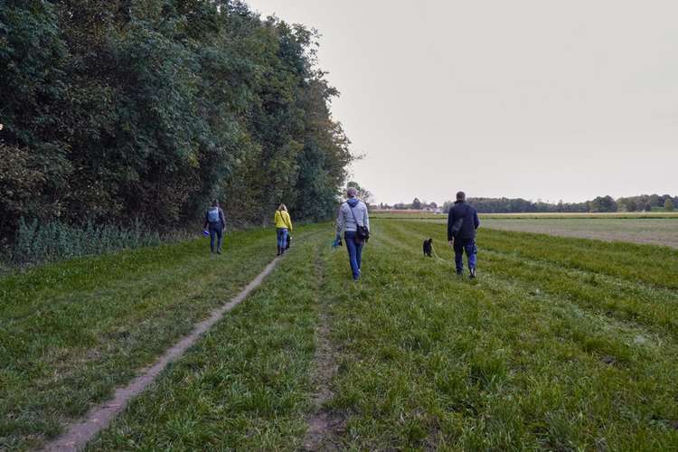 Hundeauslaufgebiet-Hunde.Haltung Training-Bild