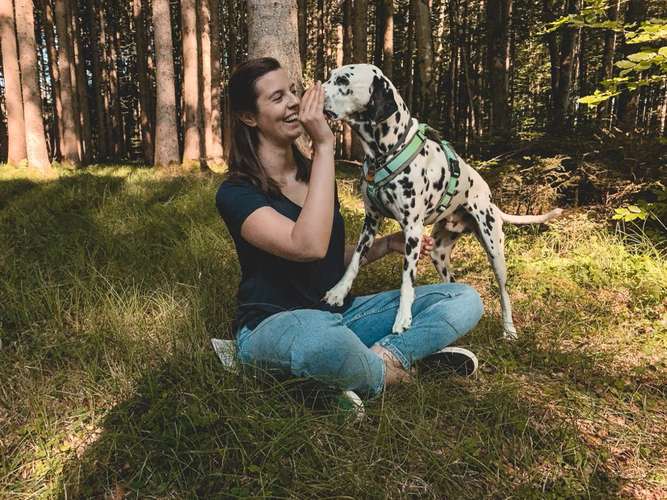 Hundeauslaufgebiet-Hunde.Haltung Training-Bild