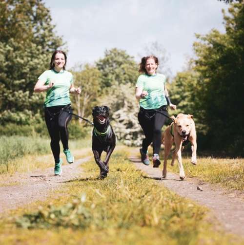 Hundeauslaufgebiet-Dogxytocin - Hundeschule-Bild