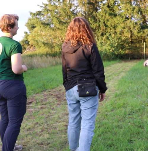 Hundeauslaufgebiet-Dogxytocin - Hundeschule-Bild