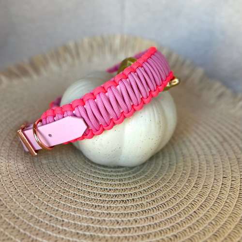 Hundeauslaufgebiet-Frechepfoetchen-Bild