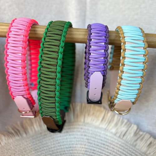 Hundeauslaufgebiet-Frechepfoetchen-Bild